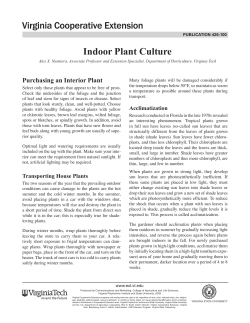 Indoor Plant Culture