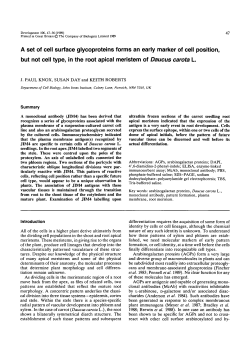 A set of cell surface glycoproteins forms an early