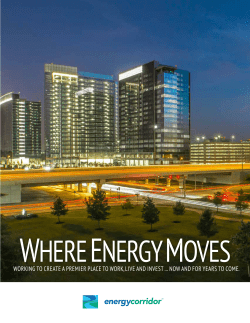 The Energy Corridor District Service Plan