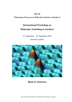 International Workshop on Molecular Switches at Surface