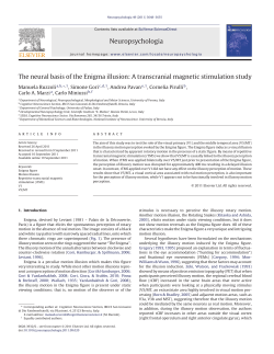 Neuropsychologia The neural basis of the Enigma illusion: A