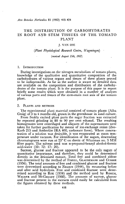 the distribution of carbohydrates in root and stem tissues of the