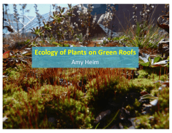 Ecology of Plants on Green Roofs