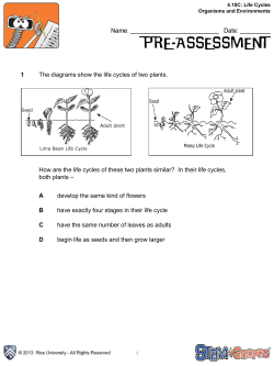 1 1 The diagrams show the life cycles of two plants. How are the life