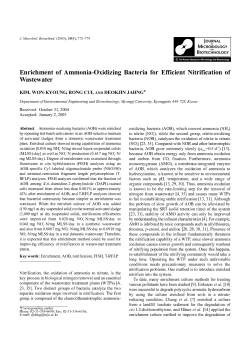 Enrichment of Ammonia-Oxidizing Bacteria for Efficient Nitrification