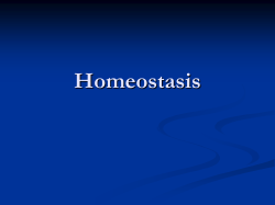 Homeostasis of the body