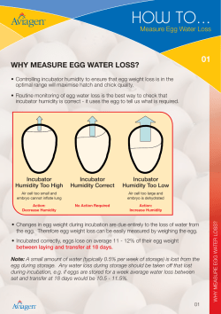 How to Measure Egg Water Loss