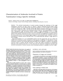 Characterization of Molecules Involved in Protein