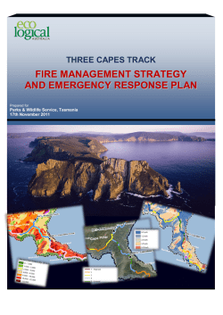 fire management strategy and emergency response plan