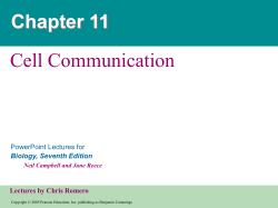 Chapter 11