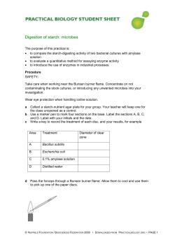 Digestion of starch: microbes