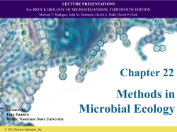 lecture presentations