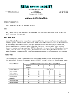 Printer Friendly - Bear River Zeolite