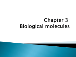 Biologicla molecules