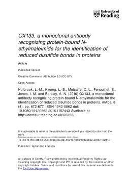 OX133, a monoclonal antibody recognizing protein