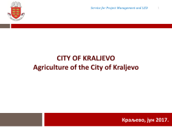 Service for Project Management and LED City