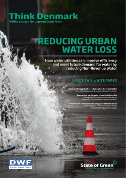reducing urban water loss