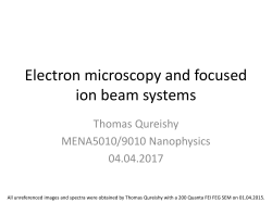 Electron microscopy and focused ion beam imaging