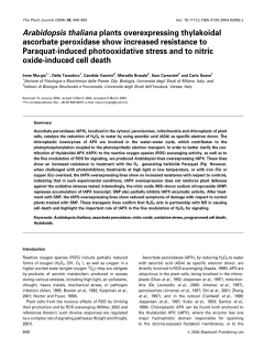 Arabidopsis thaliana plants overexpressing thylakoidal ascorbate