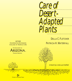 Desert- Adapted Plants - The University of Arizona Extension