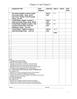 Cornell Notes 6.2 Cells and Energy