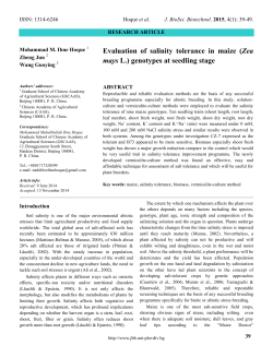 Evaluation of salinity tolerance in maize (Zea mays L.) genotypes at