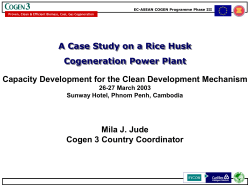 A Case Study on a Rice Husk Cogeneration Plant