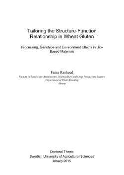 Tailoring the Structure-Function Relationship in Wheat Gluten