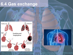 Gas Exchange