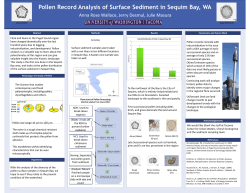 Pollen Record Analysis of Surface Sediment in