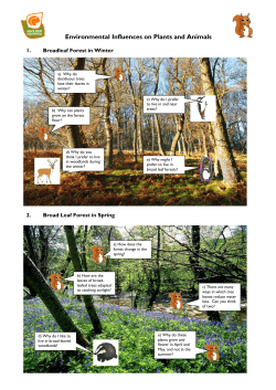 How the Environment Influences Animals and Plants in a Habitat