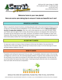 Caring for Your New Plants