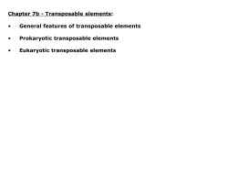 Transposable elements