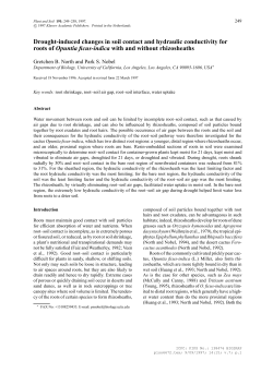 Drought-induced changes in soil contact and hydraulic