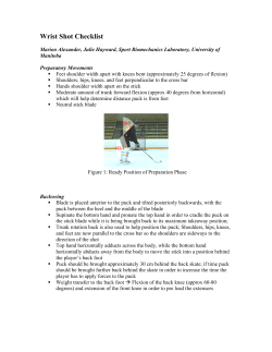 Wrist Shot Checklist - University of Manitoba
