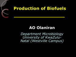 Production of Biofuels