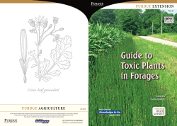 Guide to Toxic Plants in Forages
