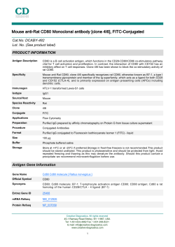 Mouse anti-Rat CD80 Monoclonal antibody [clone 4I6], FITC