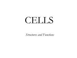 cells! - Madison Public Schools