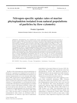 Nitrogen-specific uptake rates of marine