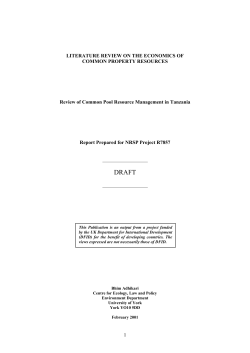 1 LITERATURE REVIEW ON THE ECONOMICS OF