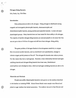 Chien, C. Nitrogen fixing bacteria