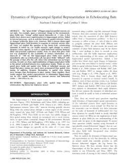 Dynamics of hippocampal spatial representation in echolocating bats