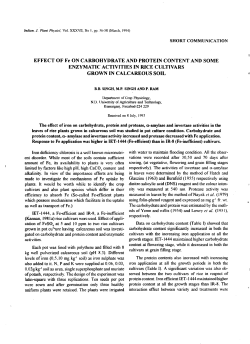 EFFECT OF Fe ON CARBOHYDRATE AND PROTEIN CONTENT