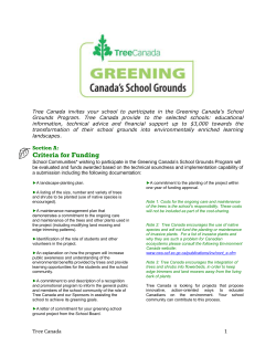 Background on Your School Ground