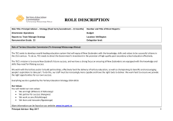 Principal Advisor Strategy Role Description