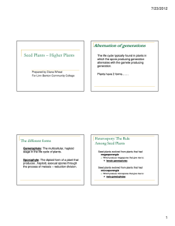 Higher Plants - Linn-Benton Community College