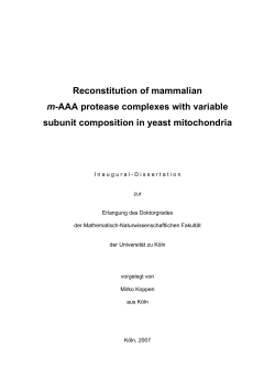 Reconstitution of mammalian m-AAA protease complexes with