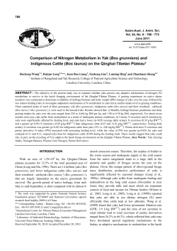 Comparison of Nitrogen Metabolism in Yak (Bos grunniens) and