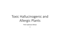 Toxic Hallucinogenic and Allergic Plants